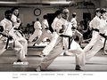 Détails : Cours de Karaté Vincennes - AS Karate Do