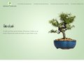 Détails : Tout savoir sur le bonsaï de jardin 