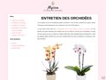 Détails : Des orchidées en fleur et en bonne santé