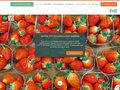 Détails : Vente directe fruits / légumes Sailly-lez-Lannoy