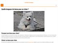 Site d'informations et de conseils sur les chiens - Le blog 100% canin