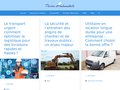 Détails : Pierre Automobile