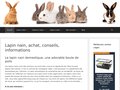 Informations et tips sur le lapin nain et domestique