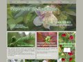 PÃ©piniÃ¨re de plantes rares et de collection dans le Loiret