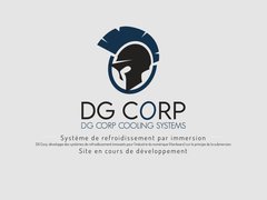 Détails : DG Corp