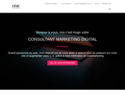 Consultant Marketing Digital