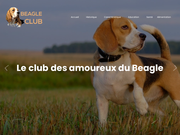 Tout savoir sur le Beagle