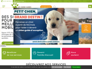 Chien Guide
