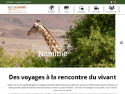 Safari en Namibie en immersion