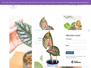 Vente de plante tropical en ligne