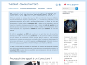 Theopat consultant Seo