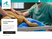 Dufour : cabinet vétérinaire moderne à Brunehaut