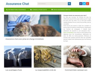 Tout ce que vous devez savoir sur l'assurance pour votre chat !